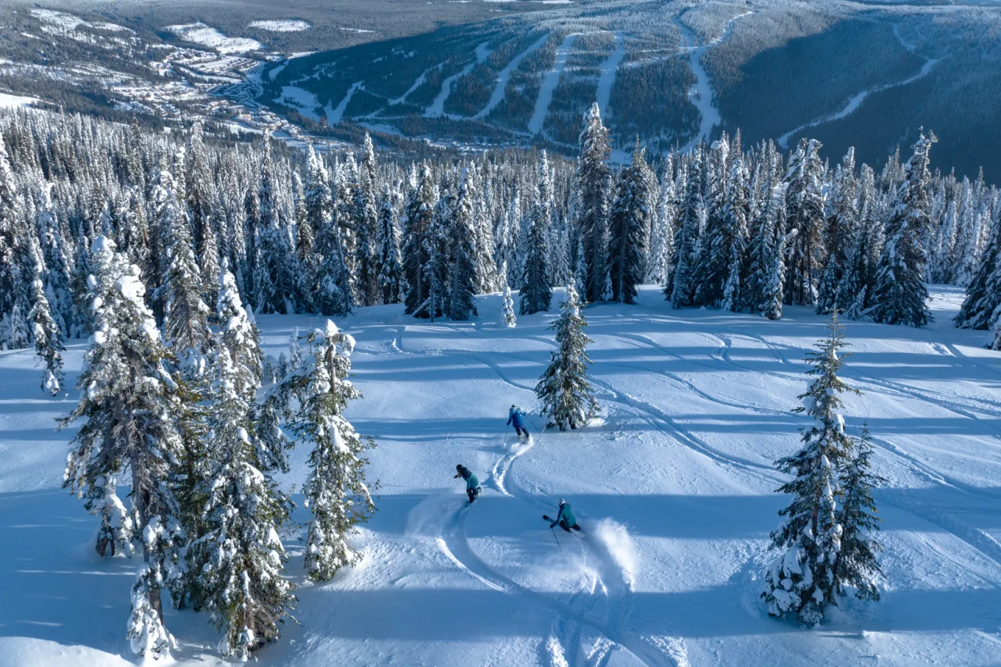 Skiers descending a snowy mountain slope lined with frosted trees.